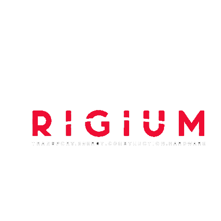 Rigium Imports
